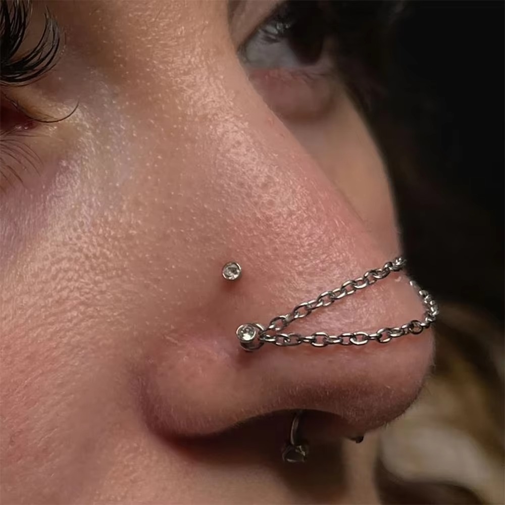 Fashion Titanium Nose Chain Do - Body Jewelry Ear Piercing recension och pris
